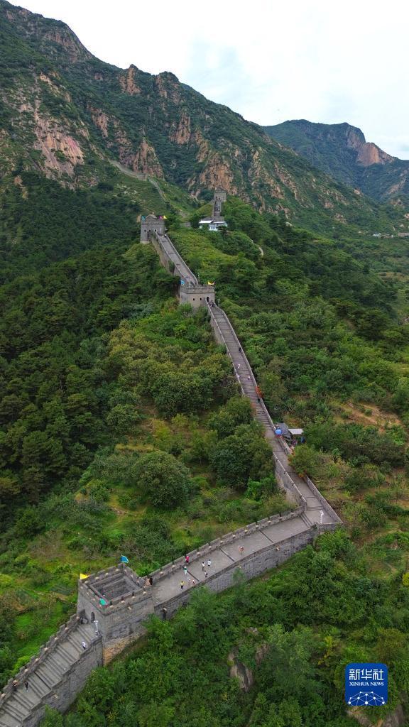 小猫变身水果机下载